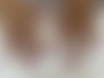 Infills & shellac overlay