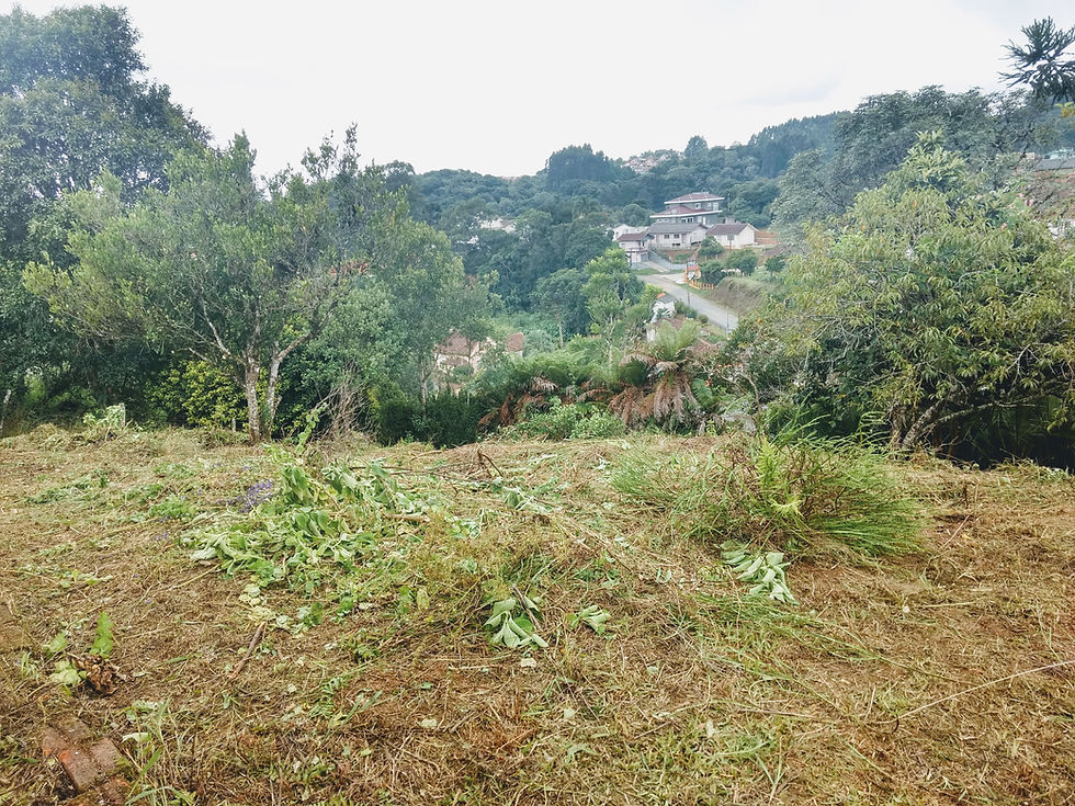 VENDO TERRENO - SCHRAMM - SBS - SC