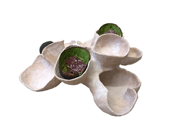 Eier-1 Kopie.png