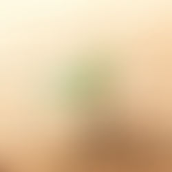 Construcción de paz