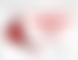 I Encuentro Nuestroamericano de Crítica Jurídica: Pensamiento y Praxis