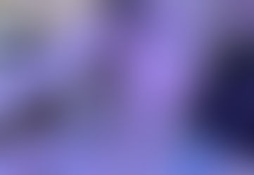 Last Partner - Xeina Kurosawa