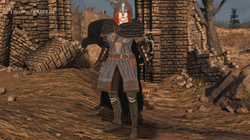 Lylliana Sword  & Board Mirrah Knight DS2