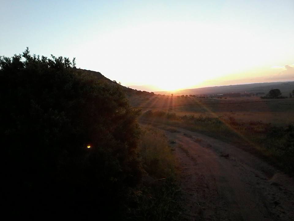 15747408_10154942264383793_3886161995122119127_n