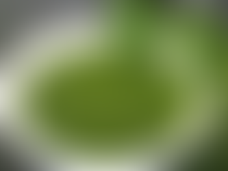 Green Chutney Recipe | तीखी हरी चटनी रेसिपी| Hari Chutney Recipe For Chaat with My Notes By Devanshu