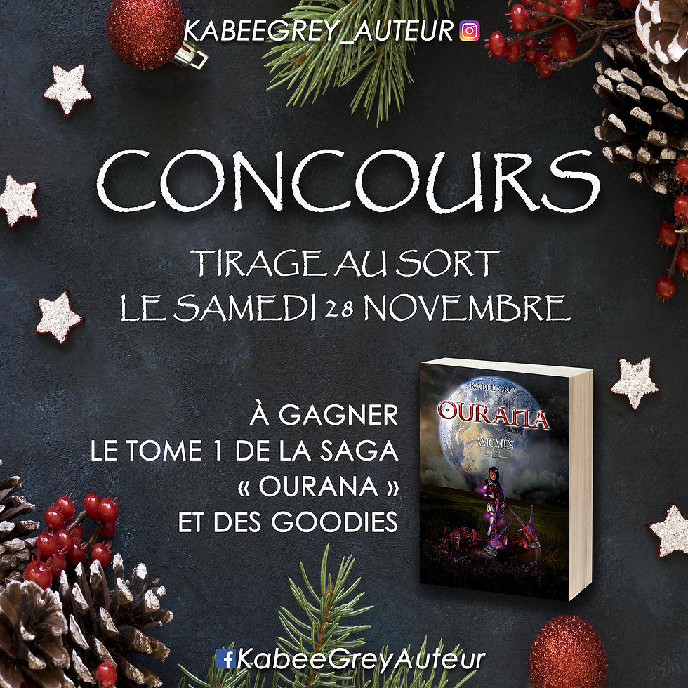 concours du 28 novembre