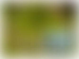 Viagem à Foz do Iguaçu – Katia Di Giaimo