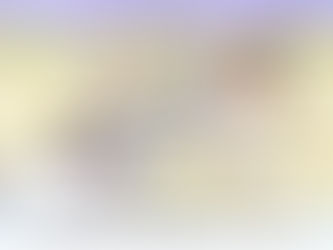 Não desista dos seus sonhos – Katia Di Giaimo