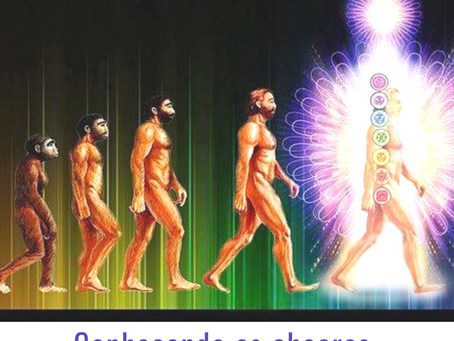 Conhecendo os Chacras – Por Wagner Borges