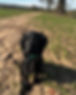 049FC838-F963-4A9C-B266-B21A8DAD9EFF.JPG