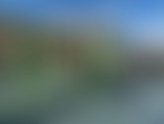 Hoe brandveilig is houtskeletbouw nu echt?