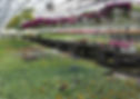Greenhouse 7-14 6.jpg