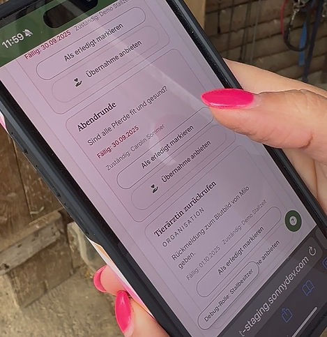 Appansicht auf dem Handy