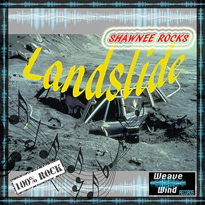 Record Label Music Store