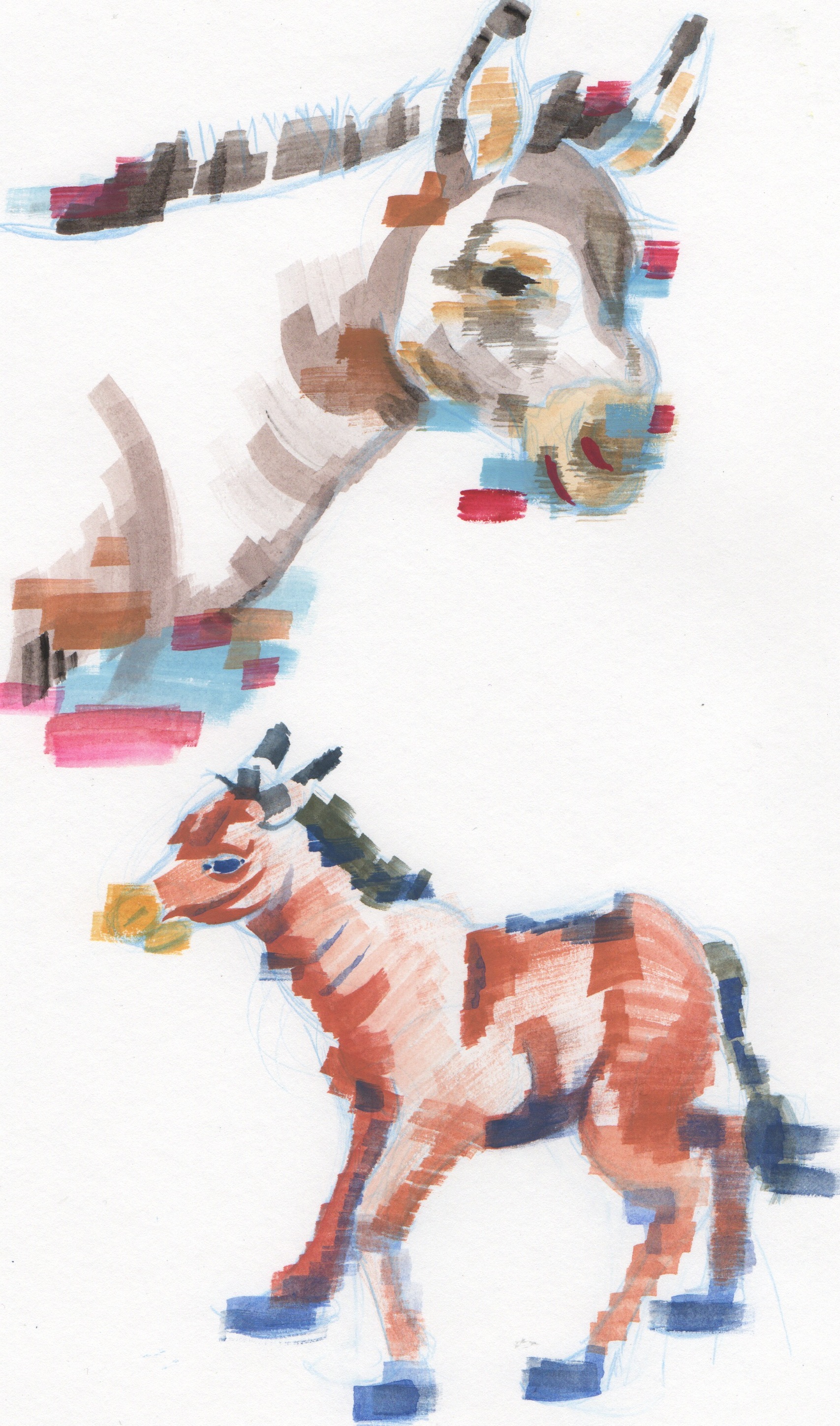 Scan 49.jpeg