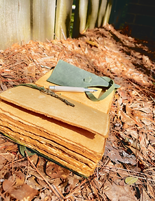 old green leather journal and fountain pen on the leafy forest ground.