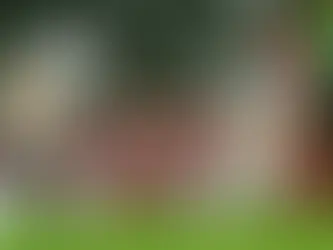 Churchill Brothers vs East Bengal FC