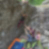 A typical outdoor bouldering session