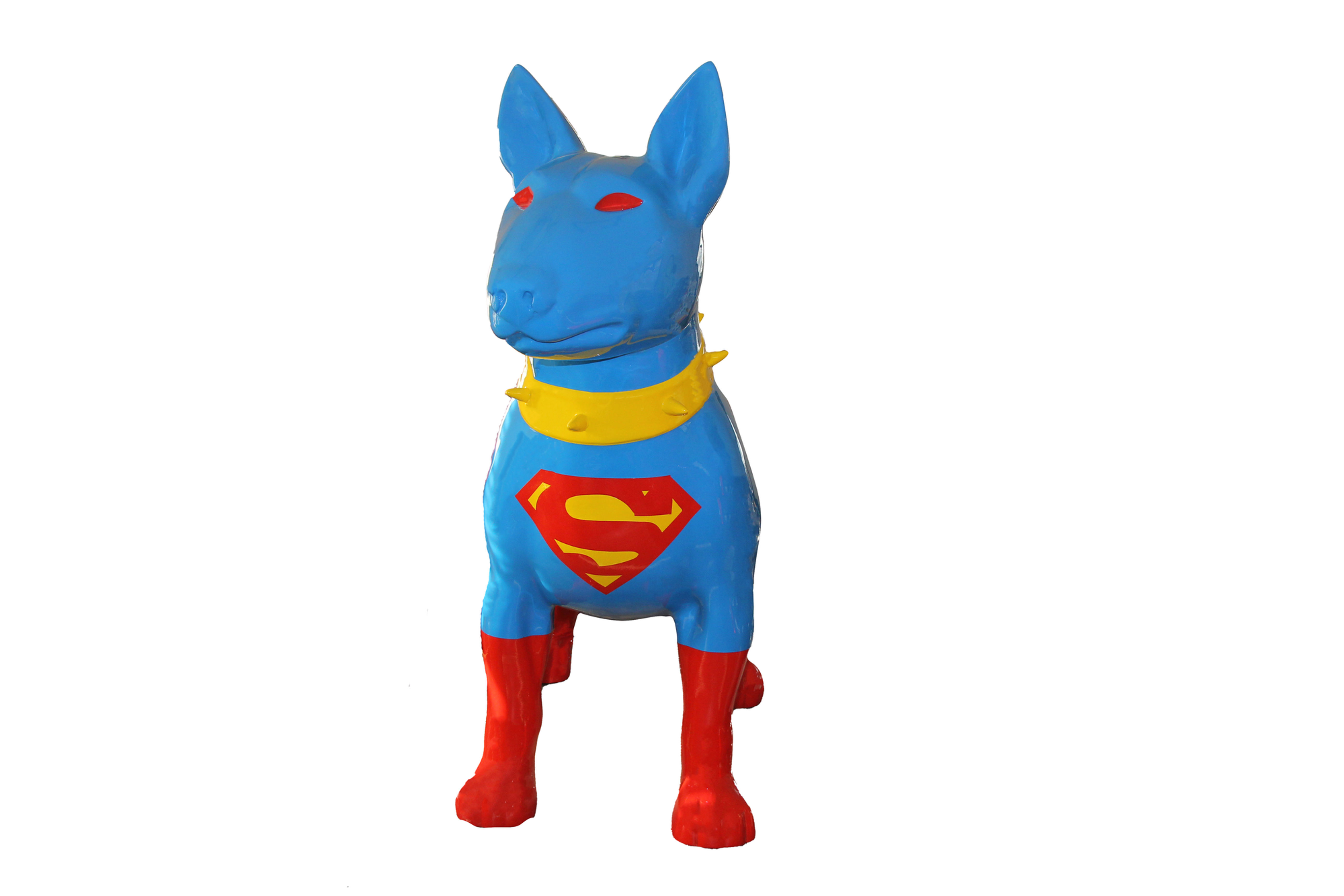 Bullterrier Super Man