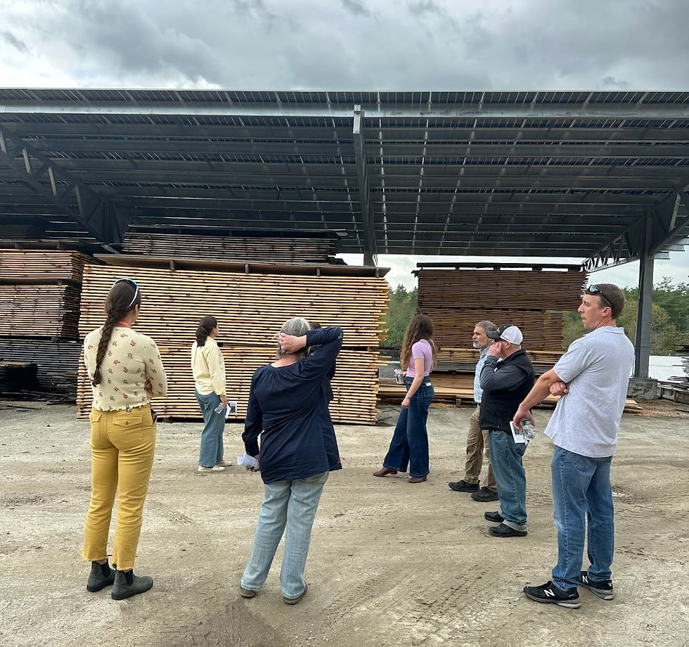Solar Carport at Wilkins Lumber