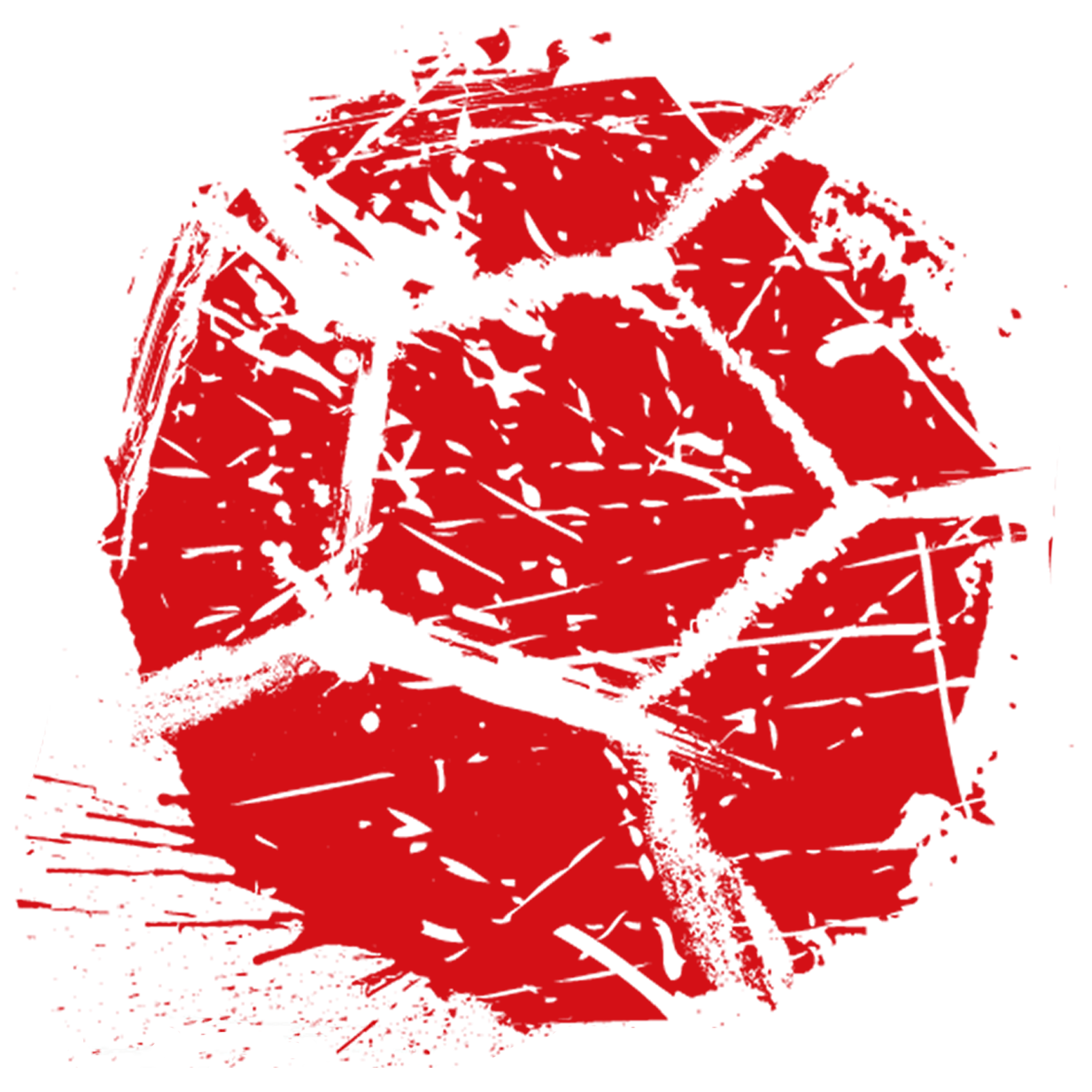 ProSocBall_Icon Kopie 2 (3).png
