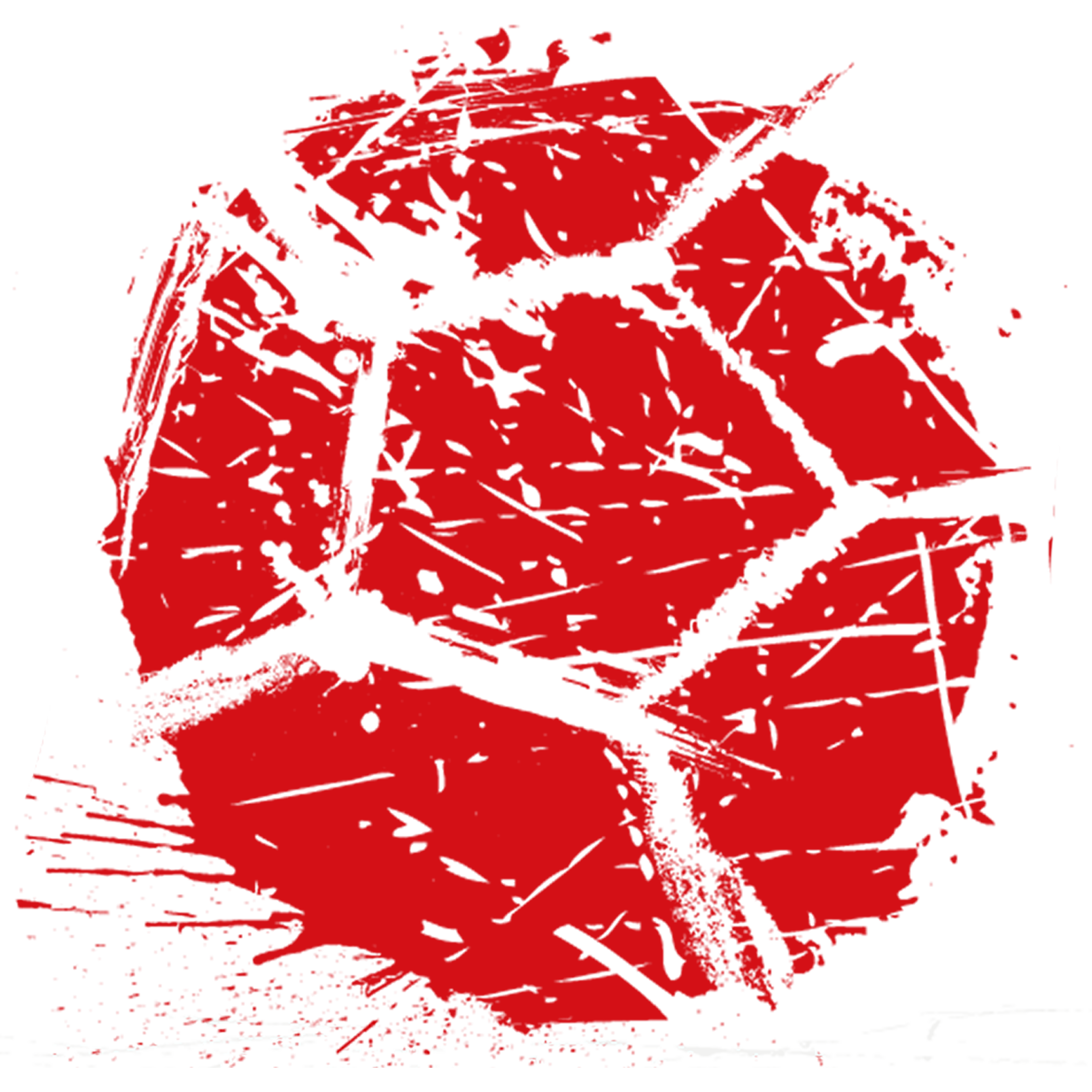 ProSocBall_Icon Kopie (10).png