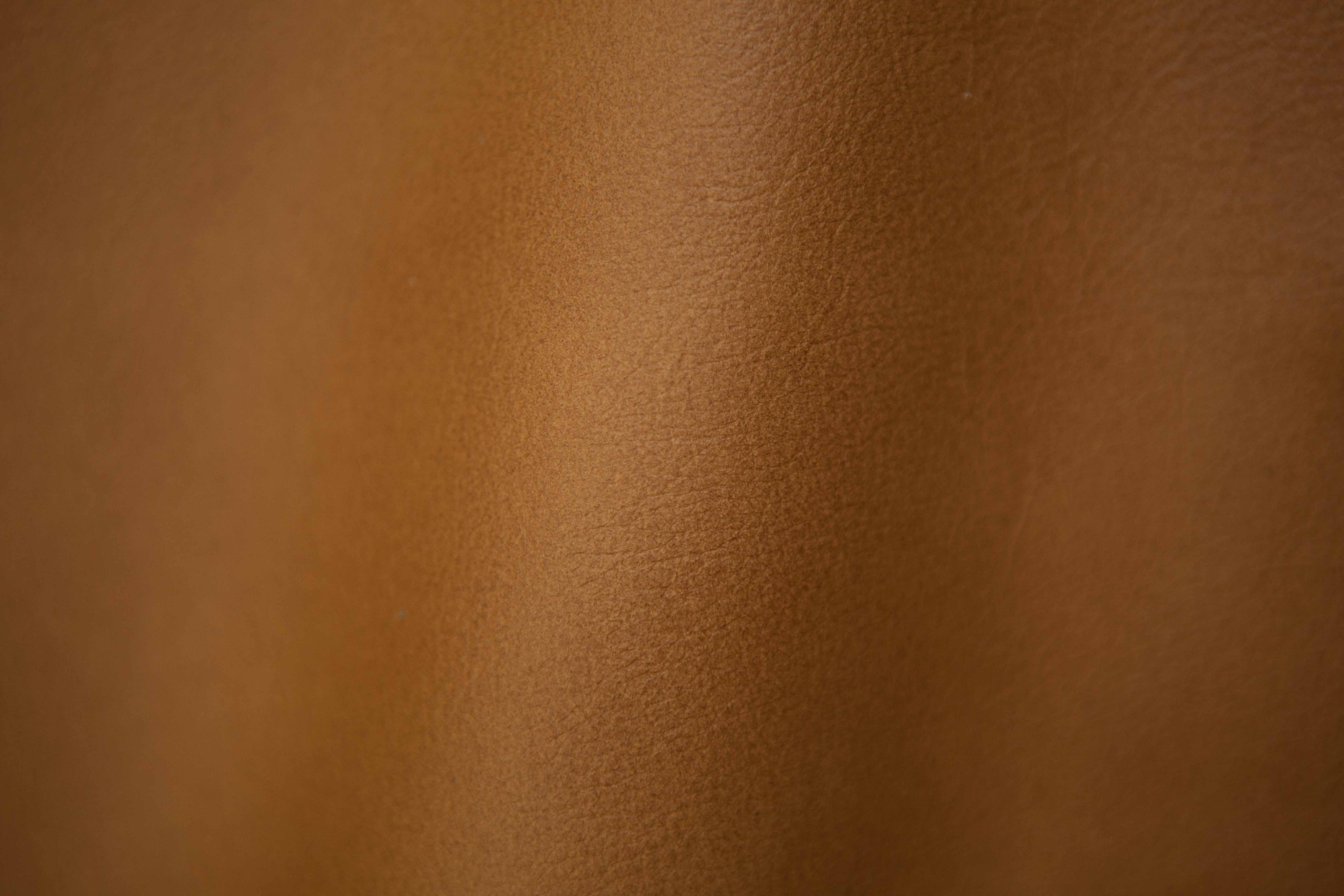 Antique Leather Collection