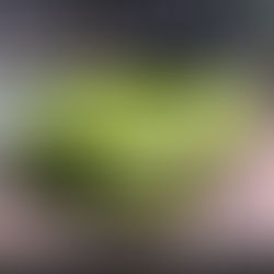 MERCEDES BENZ AMG43 #C43 ถ่ายน้ำมันเครื่อง PAKELO RACING