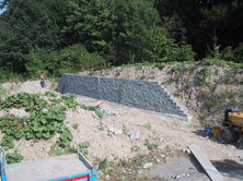 Die Mauer wächst .jpeg