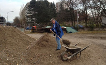 Ein „Neuer“ bei der Arbeit .jpeg