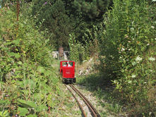 Dschungelbahn .jpeg