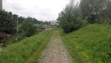 Die Natur holt sich ihr Reich zurück .jpeg