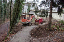 Im Wald wird noch gewalzt .jpeg