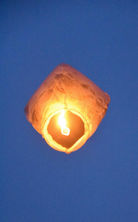… fliegen dem Himmel zu .jpeg