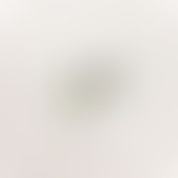 "Paper Planes" - Elina | Artist Spotlight