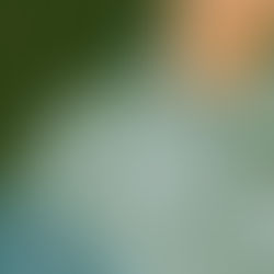 “Grow Up” - P Grace | Review