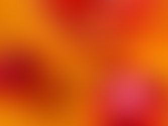 “Juliet” - Cal Maro | Review 