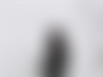 "Freewheeler"- Siena Stone | Review