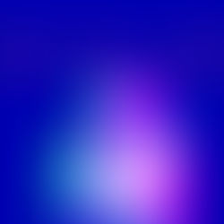 "School Bus” - Novi | Review