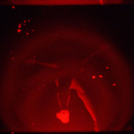 "Time” - Flõstate | Review