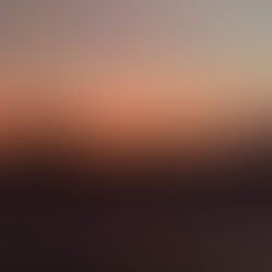 "Feel It In My Bones" - Fred Wave |Review