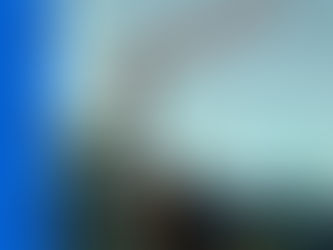 "It Won’t Be Easy" - Mountain Bird | Review