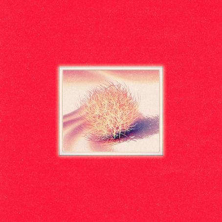 “Here With You” - Petticoat | Review