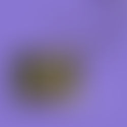 "Easy" - props | Review