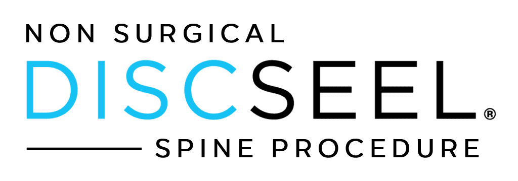 Discseel Logo