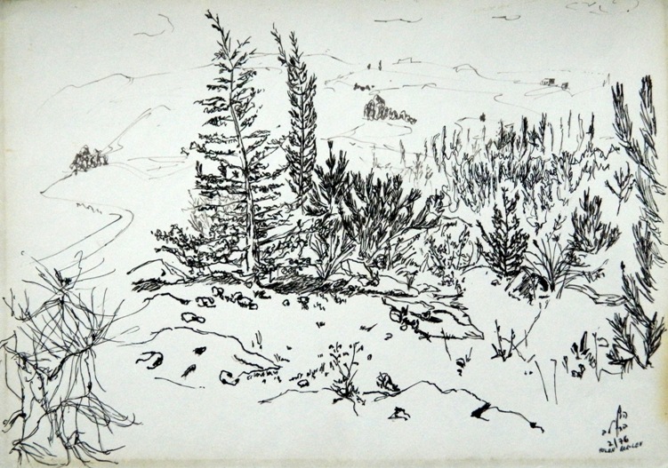 Eshtaol forest