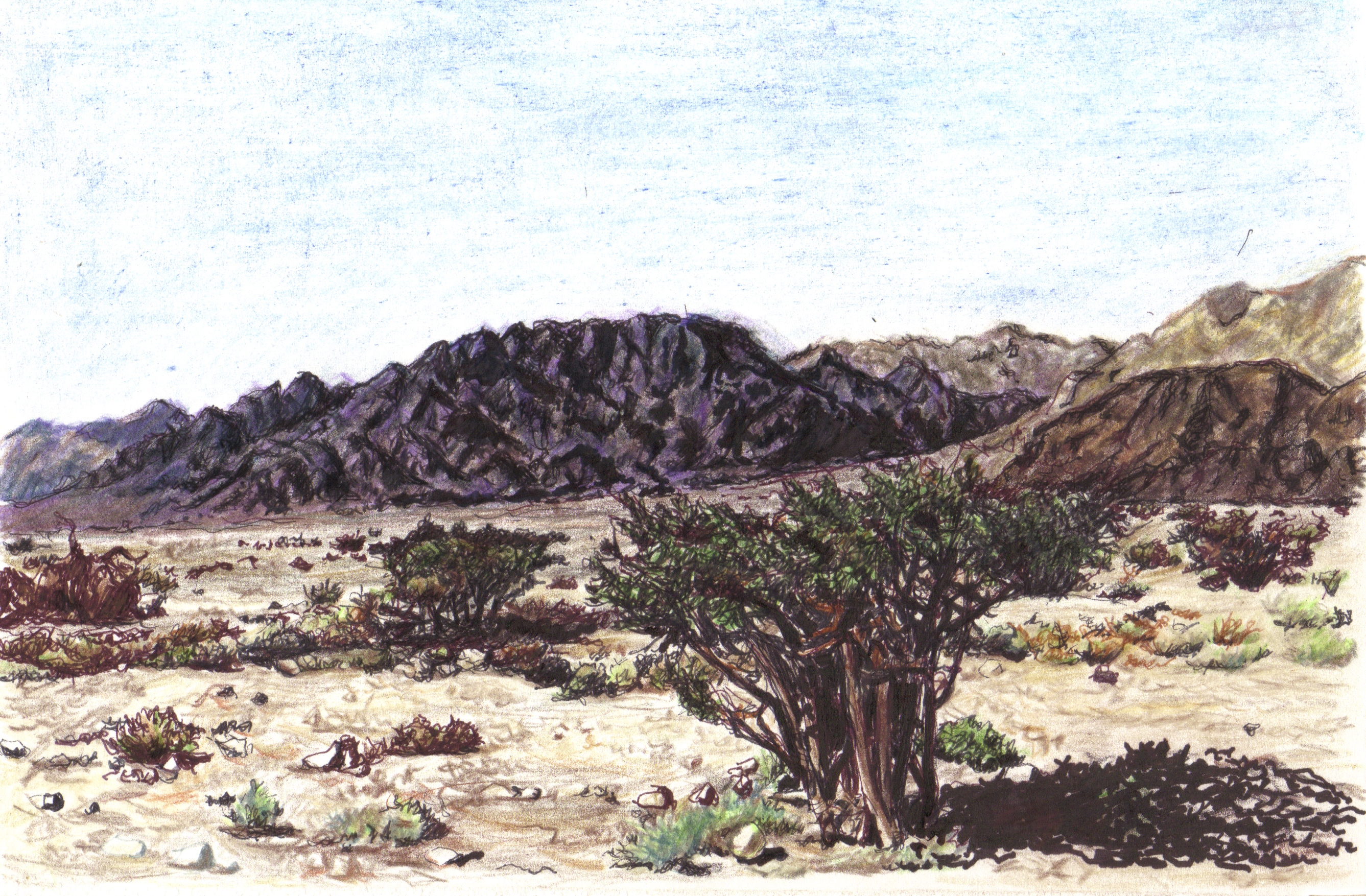 View of Timna
