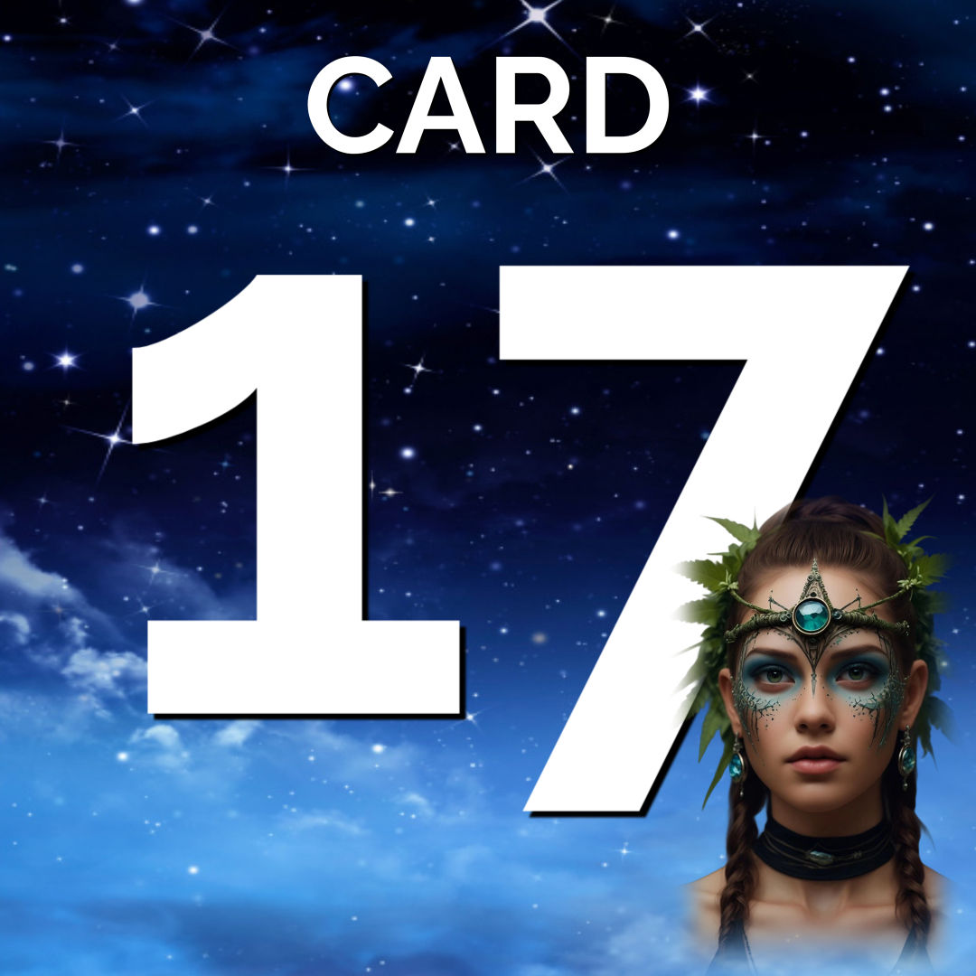 Card 17