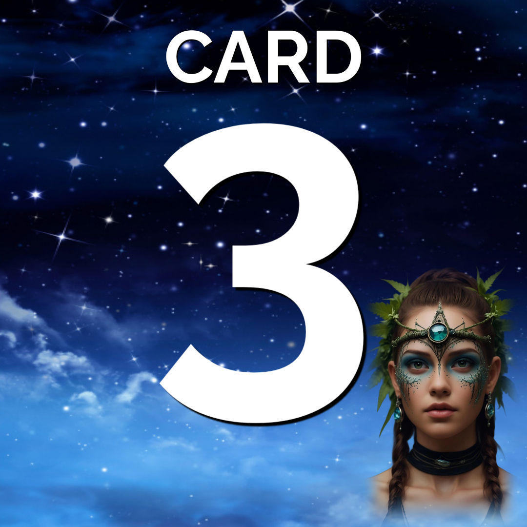 Card 3