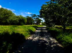 Arrival at Grove Farm